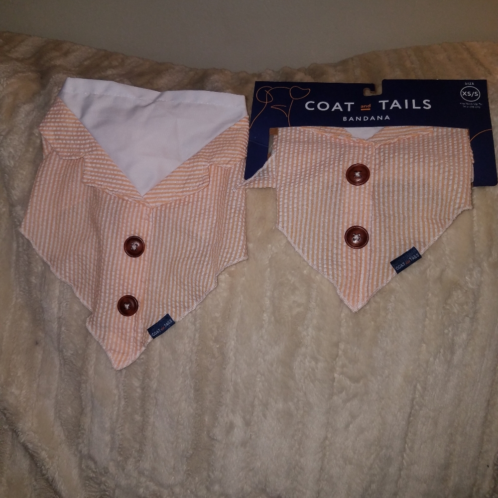 Coat and Tails dog bandana XS/S